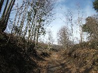 nte Cagliato-20110220 003